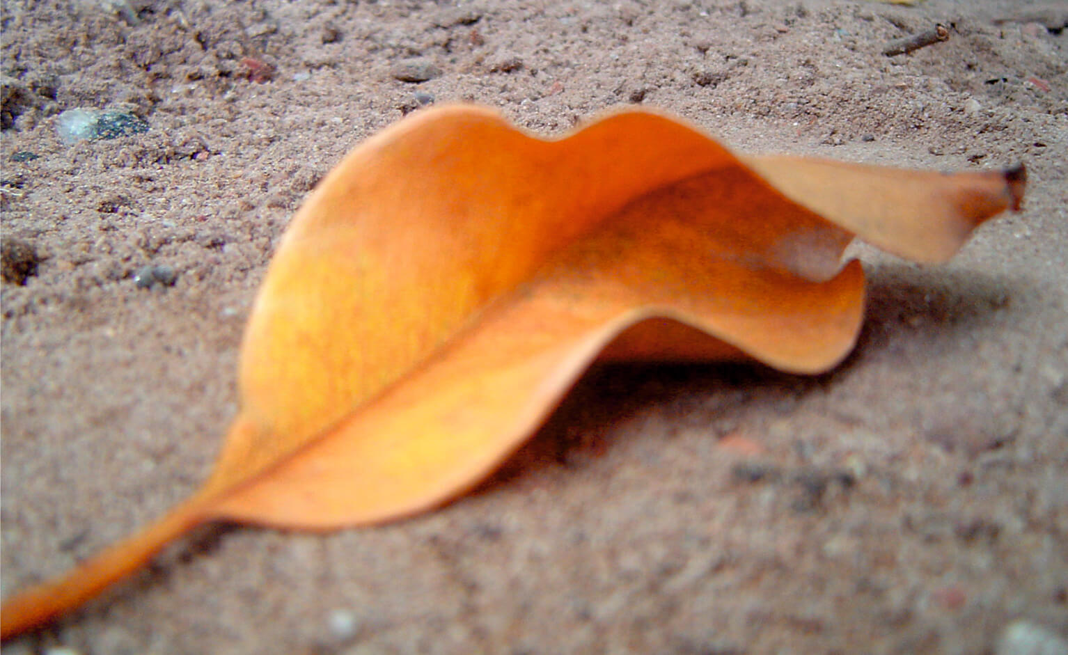 O luto