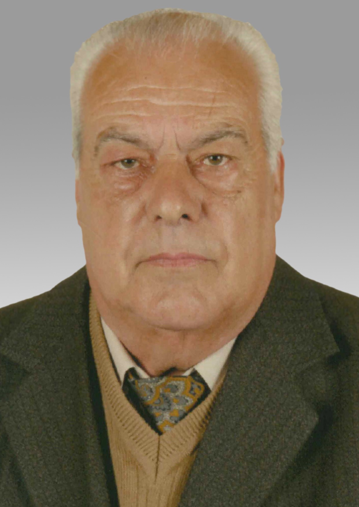 José António de Sousa Lopes
