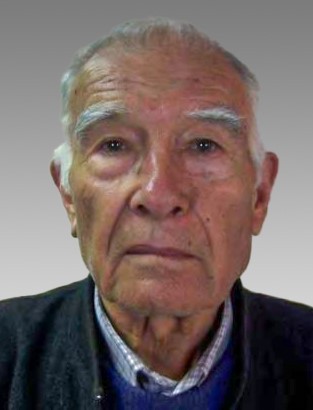 Albino Nunes Teixeira